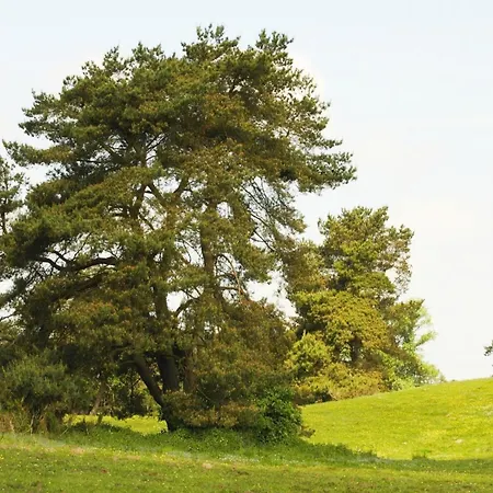 Doppelhaushaelfte Seestern, Lohmen * Lohmen (Mecklenburg-Vorpommern)
