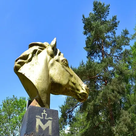 Prázdninový dům Doppelhaushaelfte Seestern, Lohmen