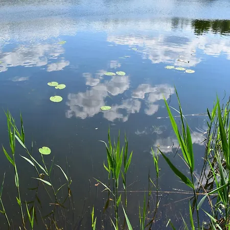 Doppelhaushaelfte Seestern, Lohmen Prázdninový dům Lohmen (Mecklenburg-Vorpommern)